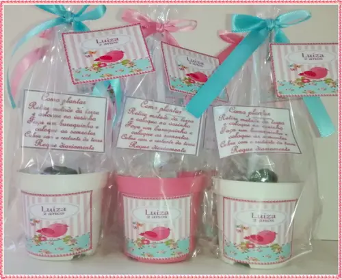 Mini Kit Ecológico Jardim