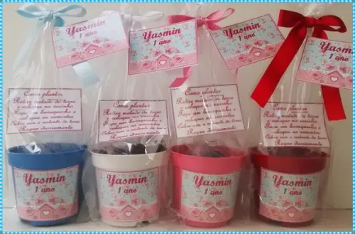 Mini Kit Ecológico Jardim