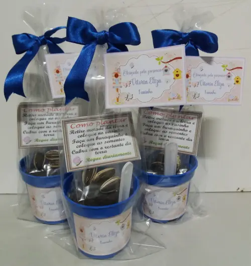 Mini Kit Ecológico Jardim