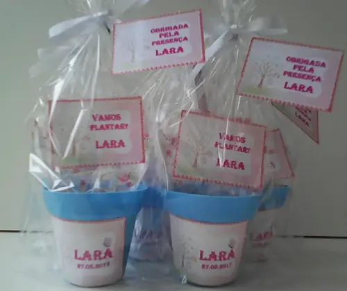Mini Kit Ecológico Jardim