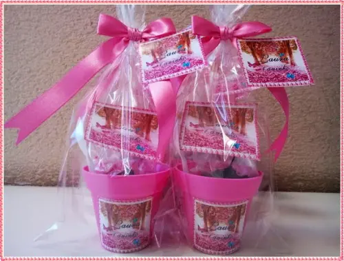 Mini Kit Ecológico Jardim das Borboletas