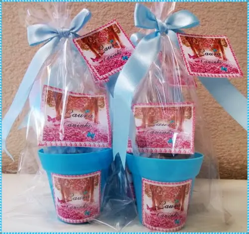 Mini Kit Ecológico Jardim das Borboletas