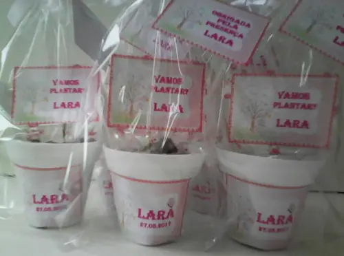 Mini Kit Ecológico Jardim