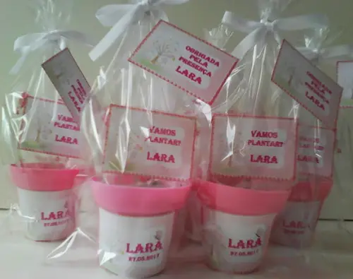 Mini Kit Ecológico Jardim