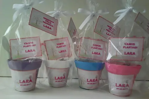 Mini Kit Ecológico Jardim