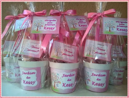 Mini Kit Ecológico Jardim das Borboletas