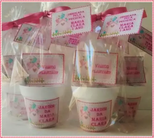 Mini Kit Ecológico Jardim Encantado