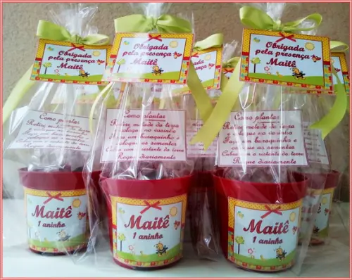 Mini Kit Ecológico Jardim Encantado