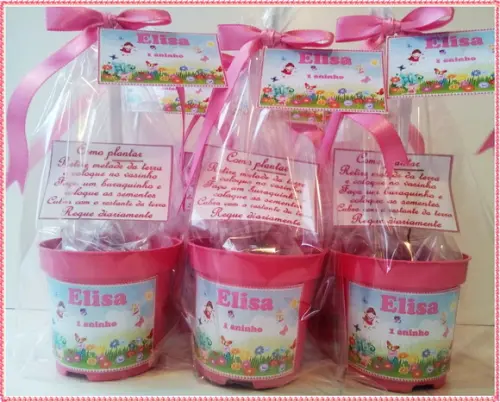 Mini Kit Ecológico Jardim Encantado Fadas e Flores