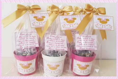 Mini Kit Ecológico Minie