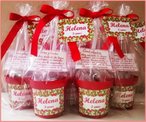 Mini Kit Ecológico Morango
