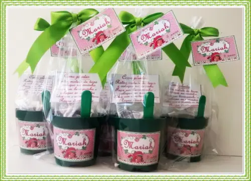 Mini Kit Ecológico Moranguinho