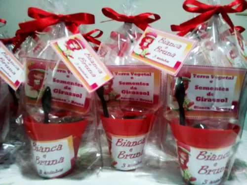 Mini Kit Ecológico Moranguinho