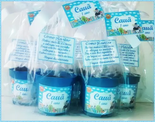 Mini Kit Ecológico Mundo Bita