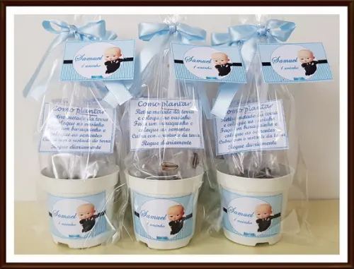 Mini Kit Ecológico o Poderoso Chefinho