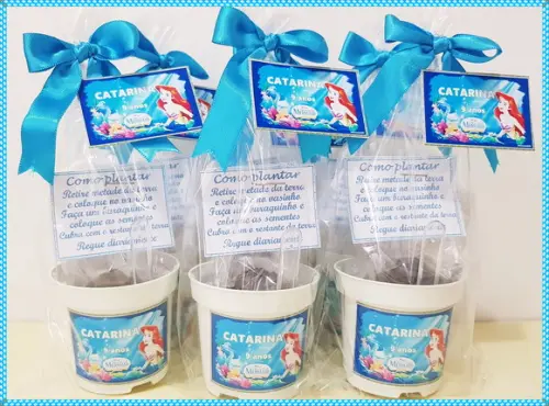 Mini Kit Ecológico Pequena Sereia