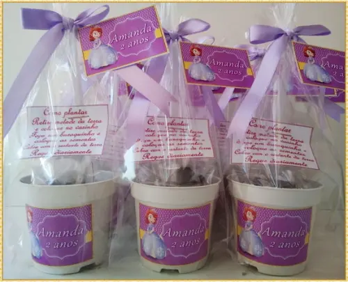 Mini Kit Ecológico Princesa Sofia