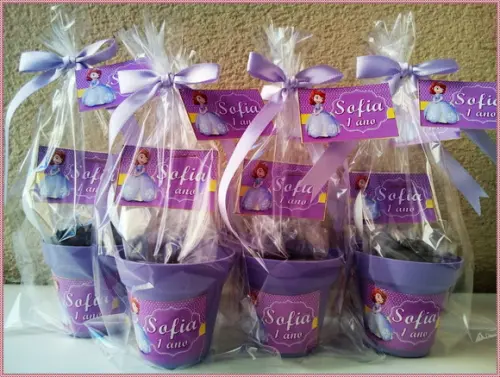 Mini Kit Ecológico Princesa Sofia