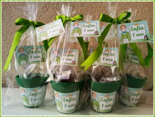 Mini Kit Ecológico Príncipe