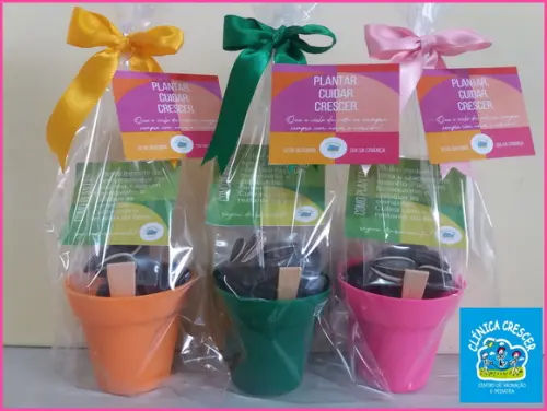 Mini Kit Ecológico Simples