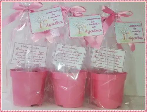 Mini Kit Ecológico Simples - Jardim Encantado