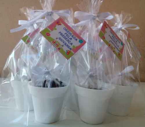 Mini Kit Ecológico Simples