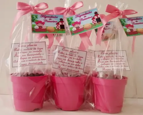 Mini Kit Ecológico Simples - Fazendinha
