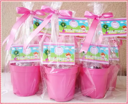 Mini Kit Ecológico Simples - Jardim das Princesas