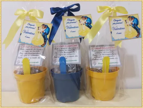 Mini Kit Ecológico Simples A Bela E A Fera