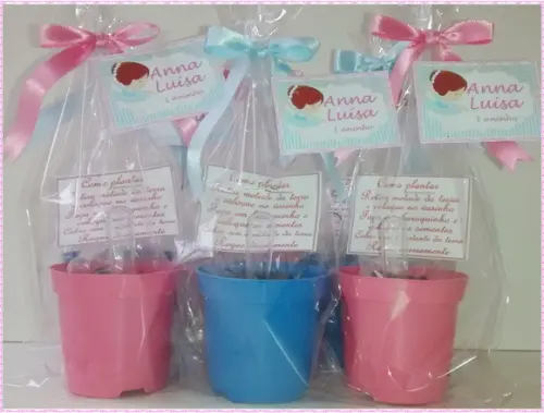 Mini Kit Ecológico Simples Bailarina