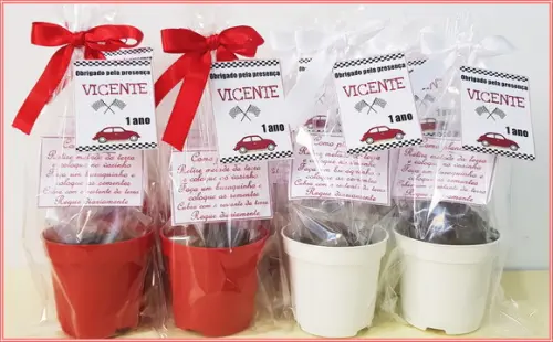 Mini Kit Ecológico Simples Carro