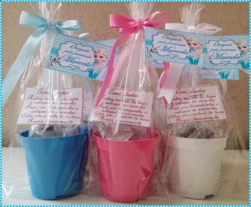 Mini Kit Ecológico Simples Frozen