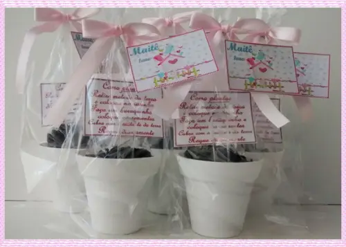 Mini Kit Ecológico Simples Jardim
