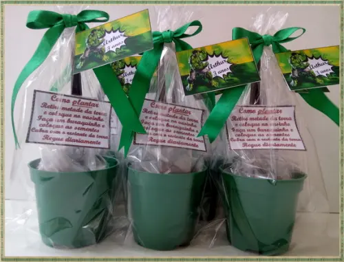 Mini Kit Ecológico Simples Incrível Hulk