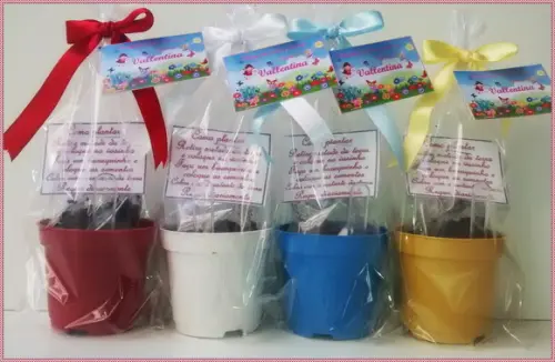 Mini Kit Ecológico Simples Jardim das Fadas