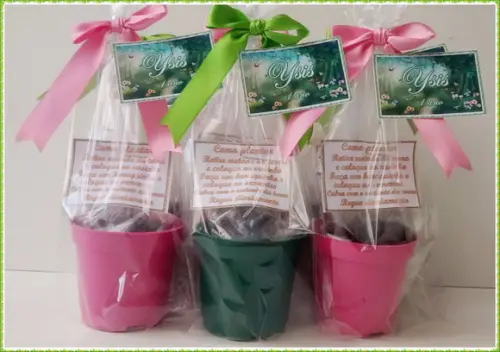 Mini Kit Ecológico Simples Jardim