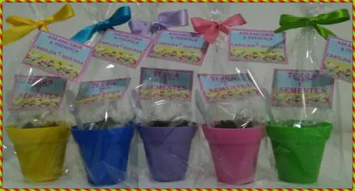 Mini Kit Ecológico Simples Jardim
