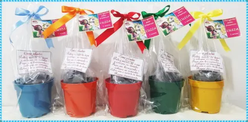 Mini Kit Ecológico Simples Mundo de Mia