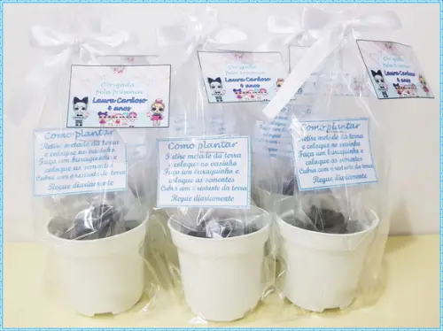 Mini Kit Ecológico Simples Lol