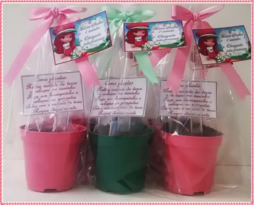 Mini Kit Ecológico Simples Moranguinho