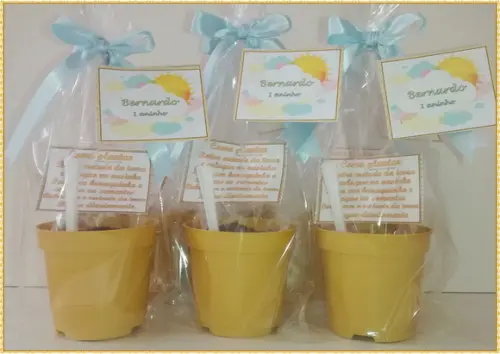 Mini Kit Ecológico Simples Um Dia de Sol
