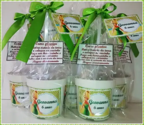 Mini Kit Ecológico Tinkerbell