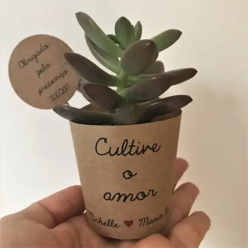 Rótulo + Tag Personalizada para Mini Suculentas
