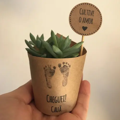 Rótulo + Tag Personalizada para Mini Suculentas