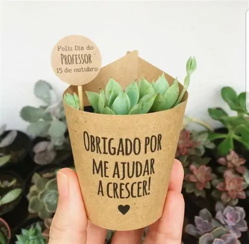 Rótulo + Tag Personalizada para Mini Suculentas
