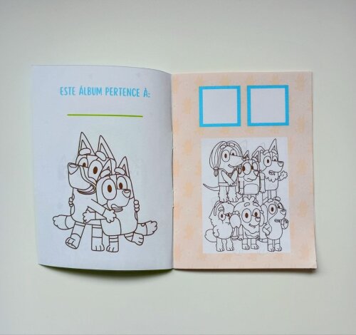 Álbum de Figurinhas e Livrinho de Colorir Lembrancinha Personali