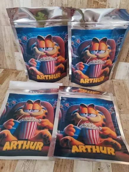 Saquinho Zip Lock Personalizado Garfield