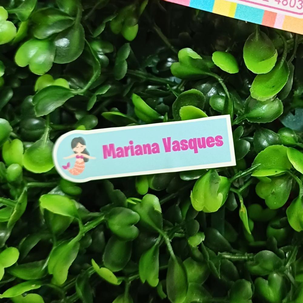 Etiqueta transfer para roupas