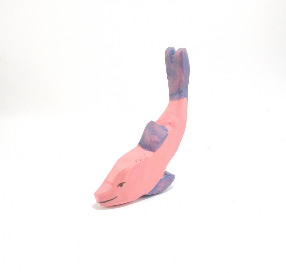 Boto-cor-de-rosa