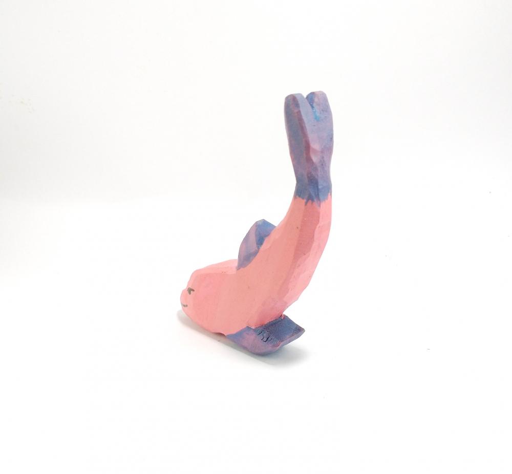 Boto-cor-de-rosa
